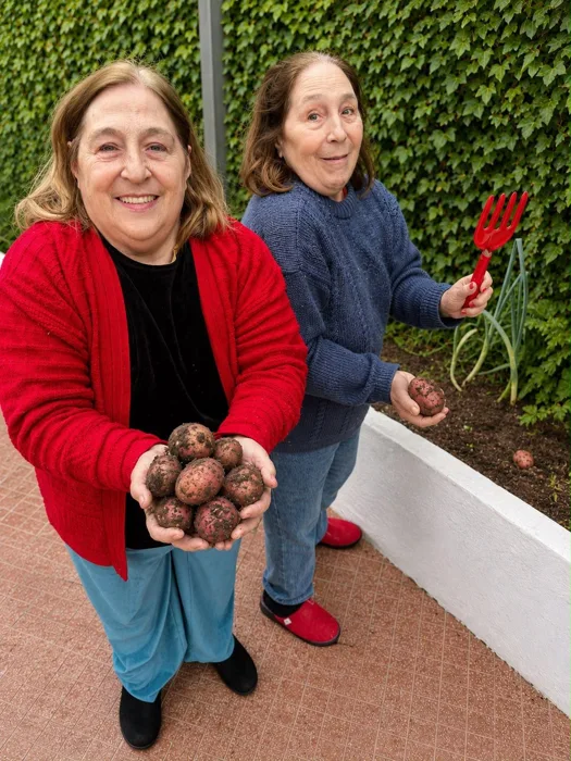 Encuentro en el patio