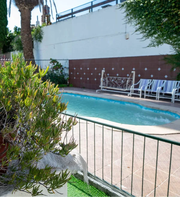 Piscina y jardín